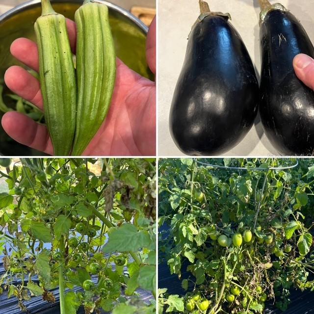 Image 64 of 64 For 12010 69th Street E