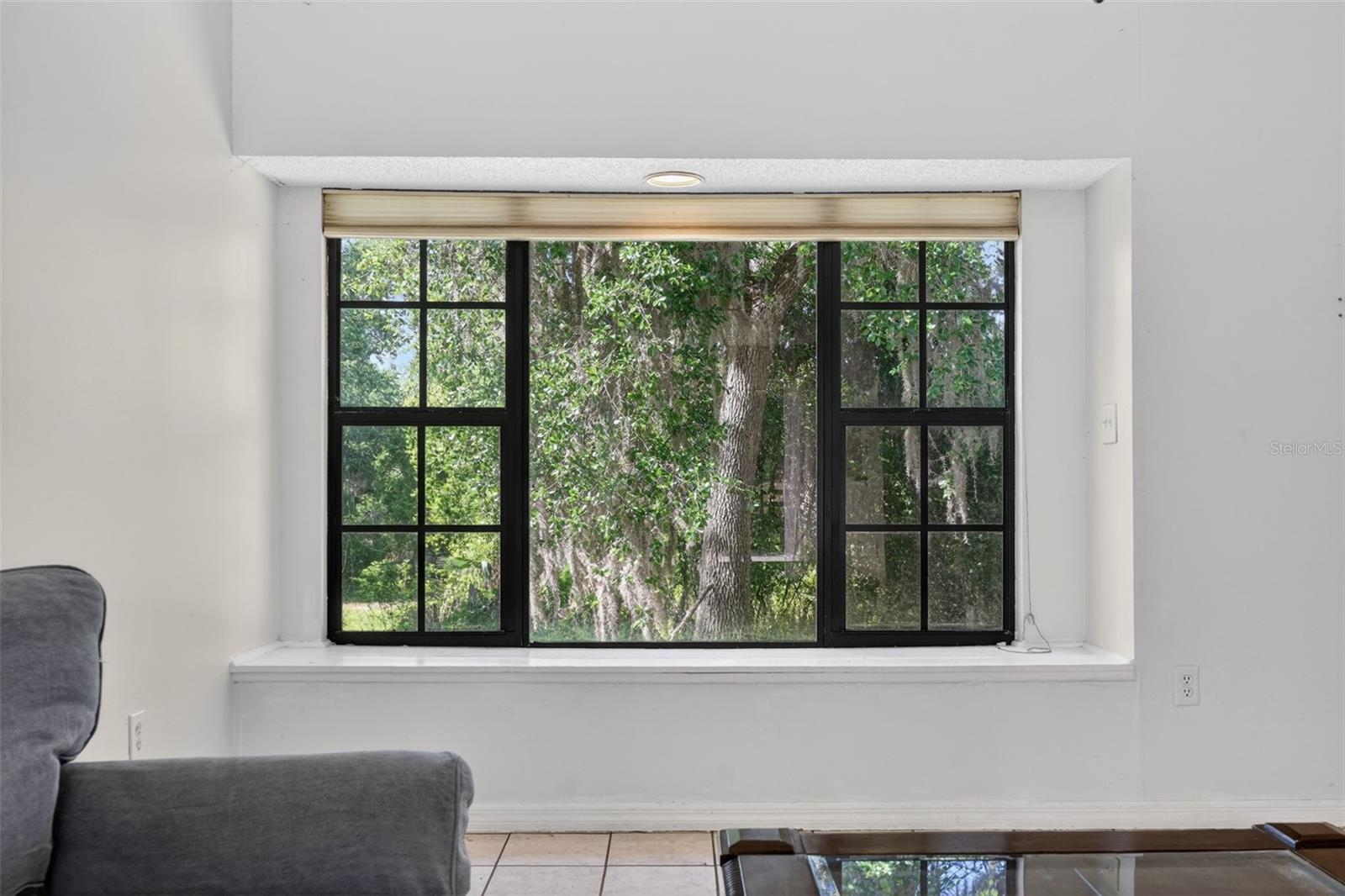 Image 13 of 61 For 5330 Myakka Valley Trail