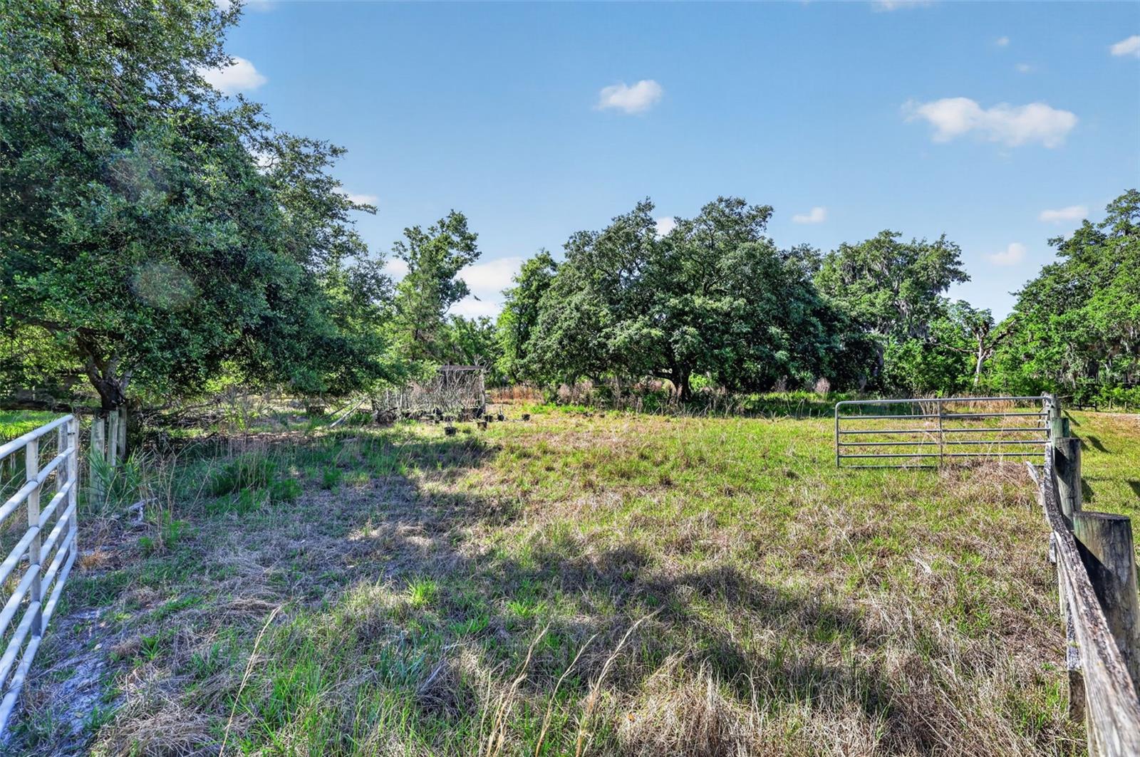 Image 45 of 61 For 5330 Myakka Valley Trail