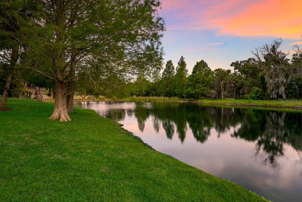 Image 43 of 56 For 12107 Creole Court