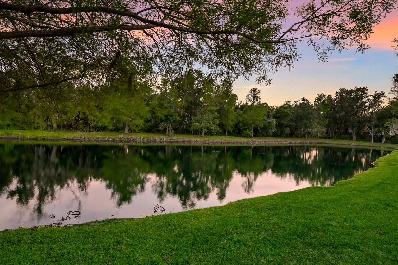 Image 7 of 56 For 12107 Creole Court