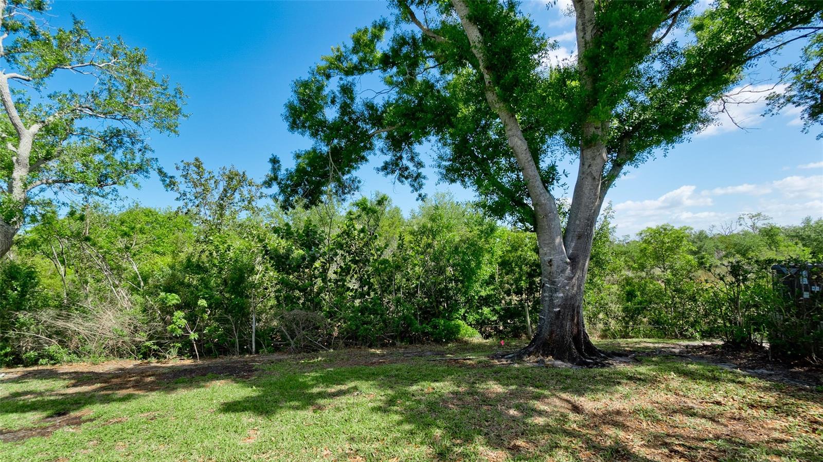 Image 27 of 30 For 11223 Sanctuary Drive