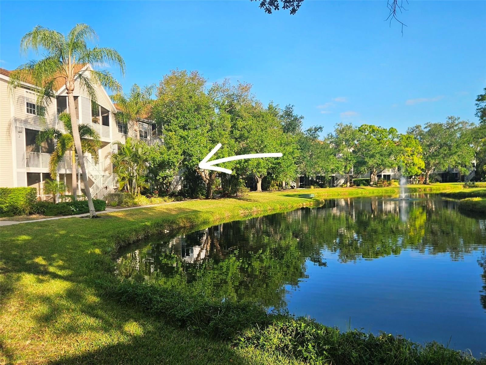 Image 19 of 40 For 850 Tamiami Trail 308