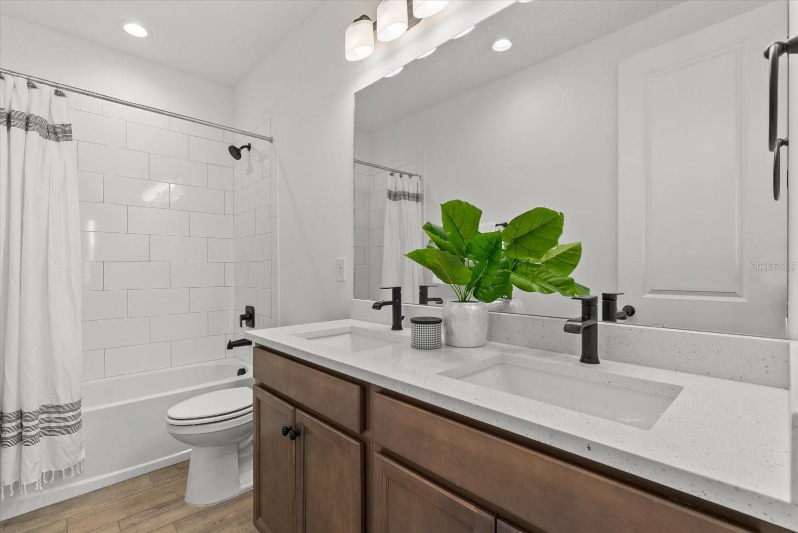 Image 31 of 45 For 8330 Abalone Loop