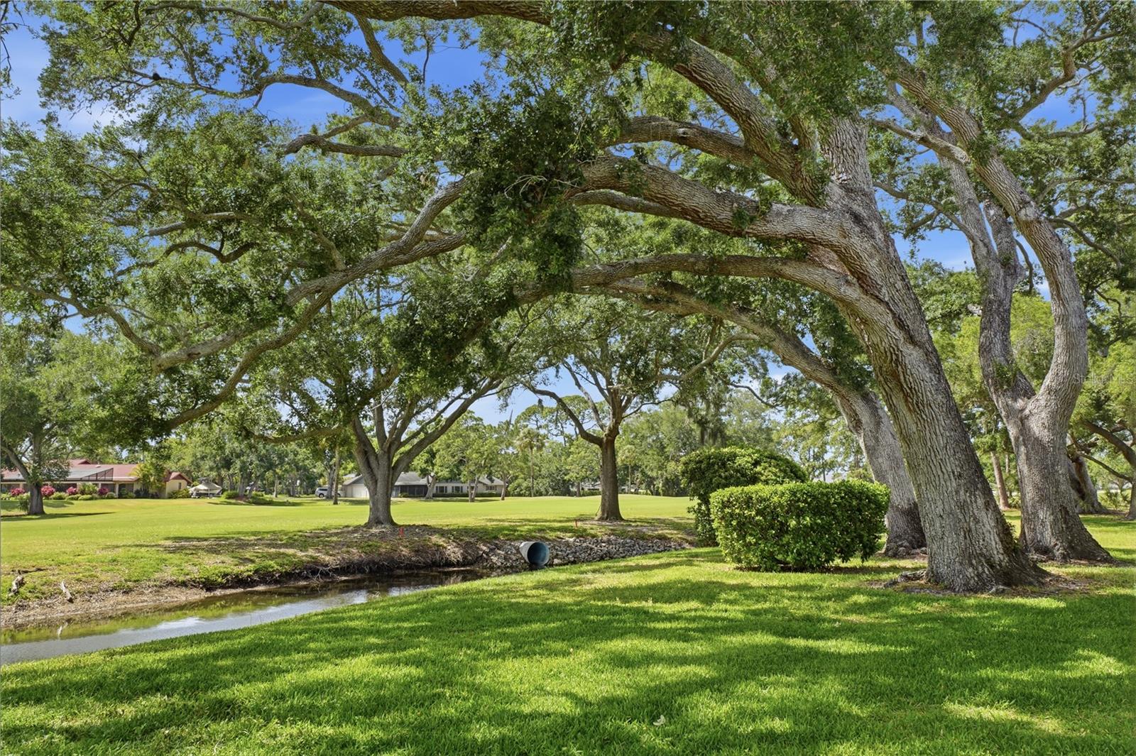 Image 4 of 19 For 7860 Palm Aire Lane 103