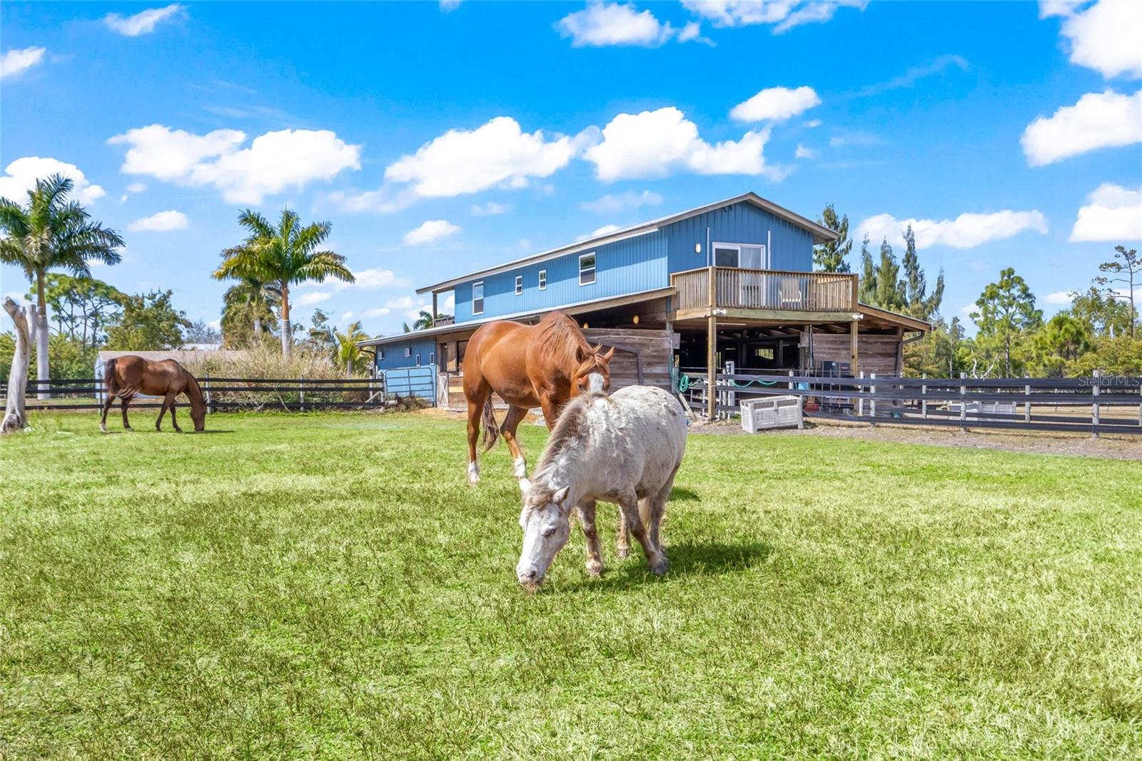 Image 21 of 43 For 6050 Stringfellow Road