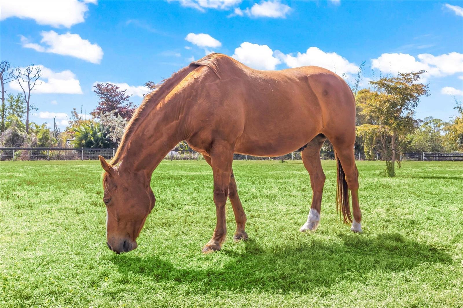 Image 22 of 43 For 6050 Stringfellow Road