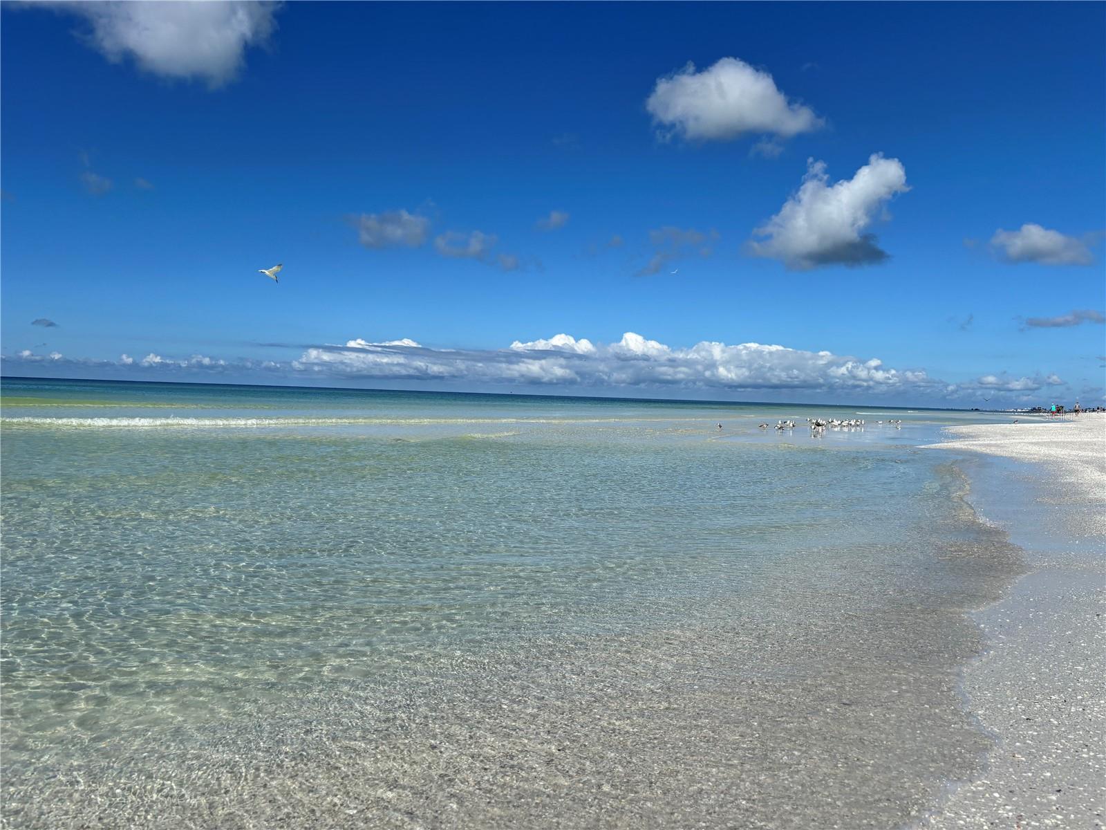 Image 32 of 34 For 5476 Swift Road 19