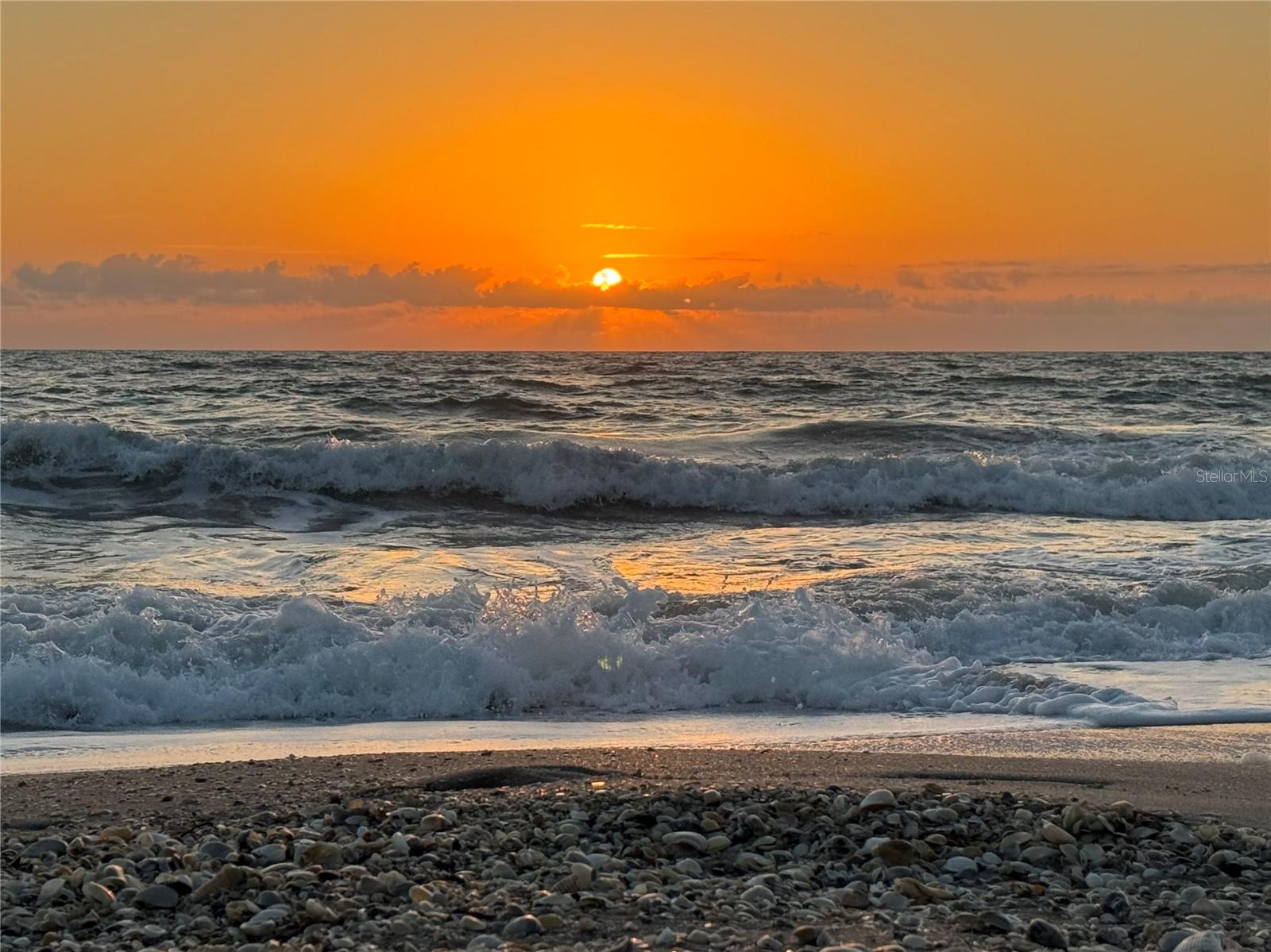 Image 34 of 34 For 5476 Swift Road 19