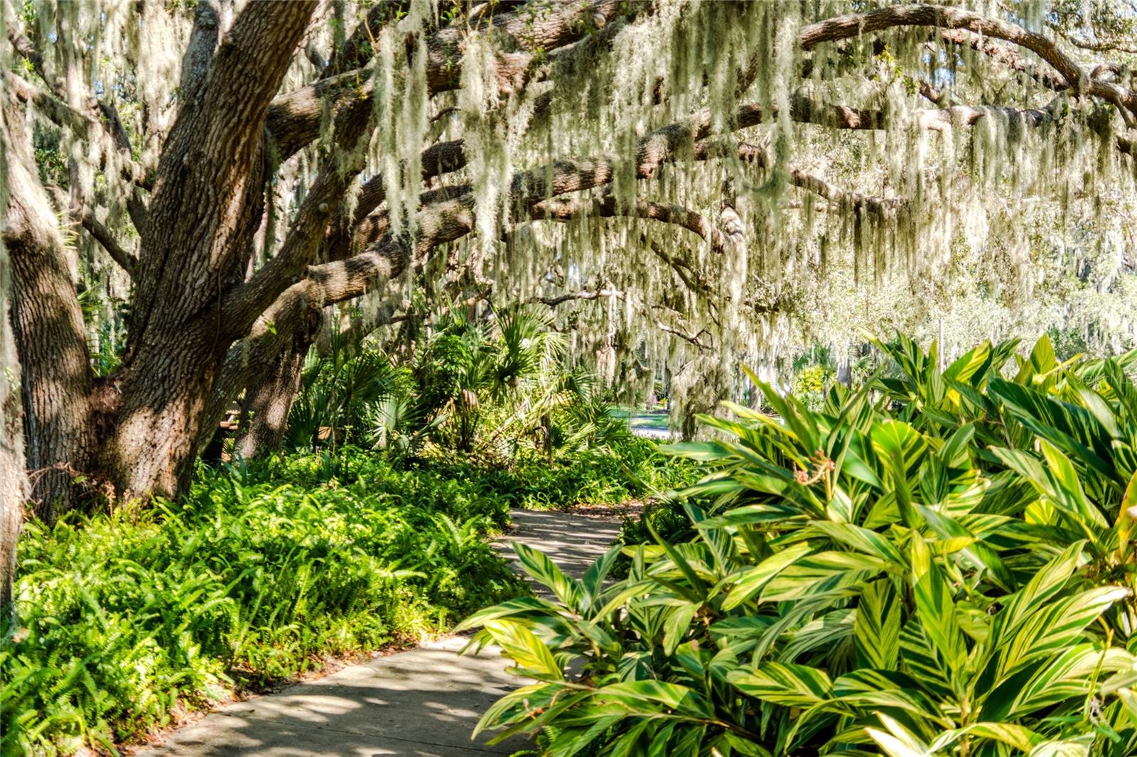 Image 46 of 57 For 4912 Charles Partin Drive