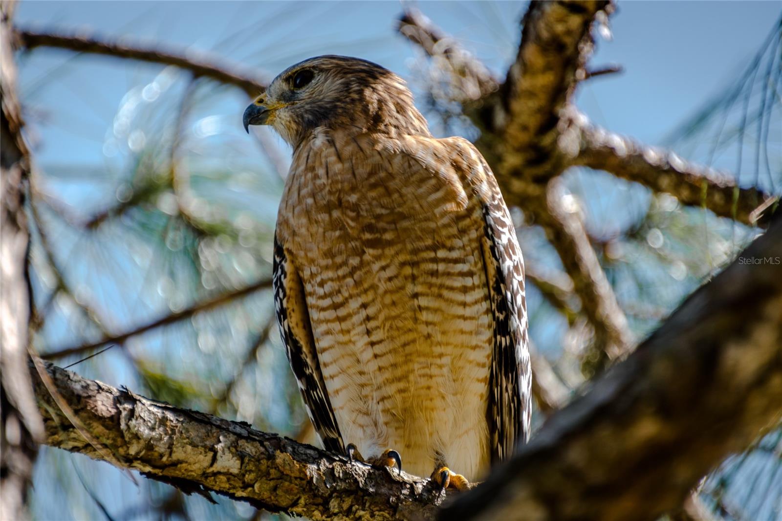 Image 57 of 57 For 4912 Charles Partin Drive