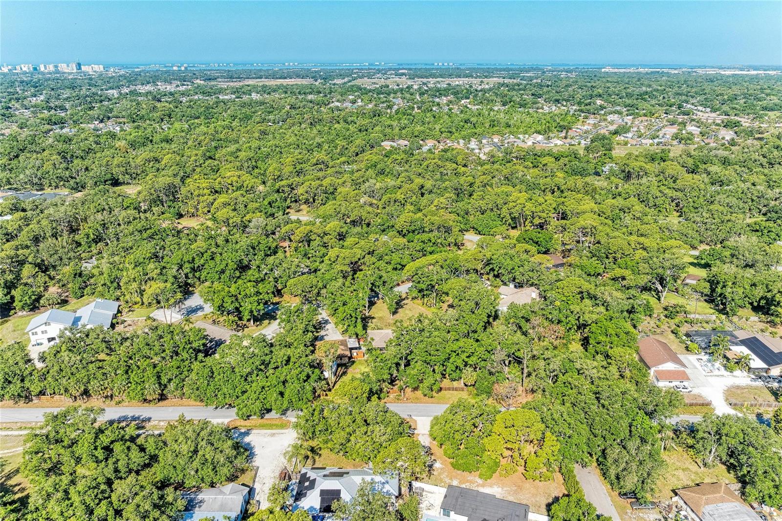 Image 78 of 92 For 4328 Lost Forest Lane