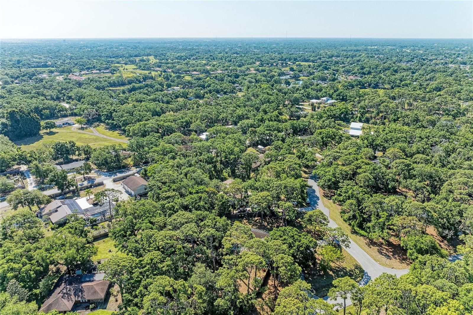 Image 81 of 92 For 4328 Lost Forest Lane