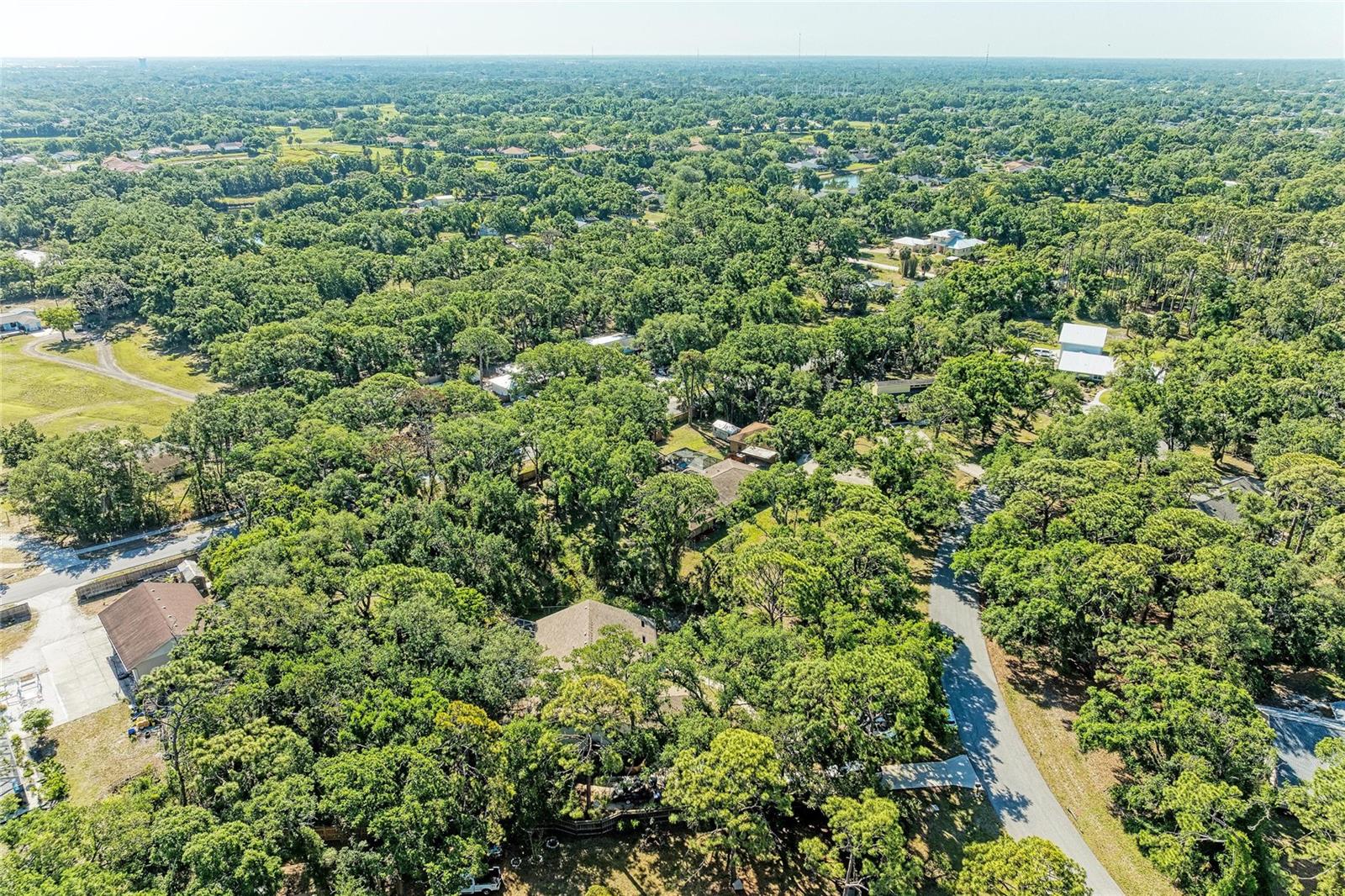 Image 84 of 92 For 4328 Lost Forest Lane