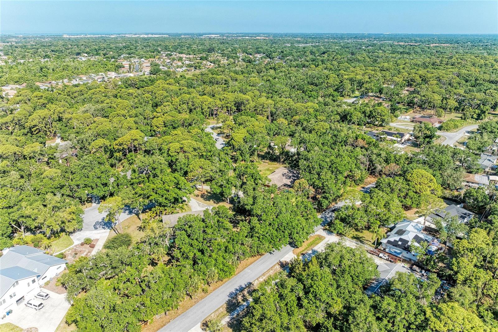 Image 87 of 92 For 4328 Lost Forest Lane