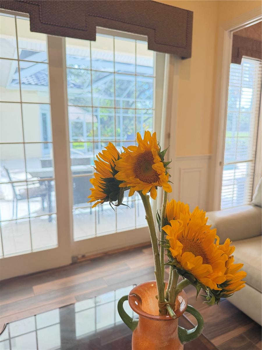 Image 37 of 78 For 402 Macewen Drive