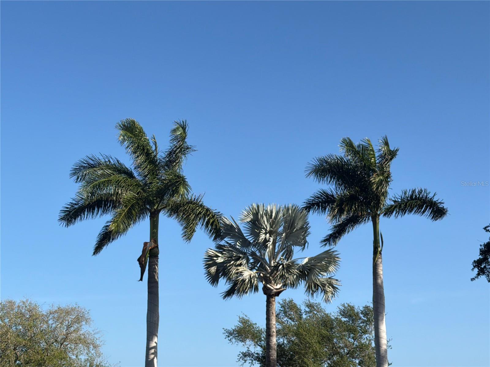 Image 78 of 78 For 402 Macewen Drive