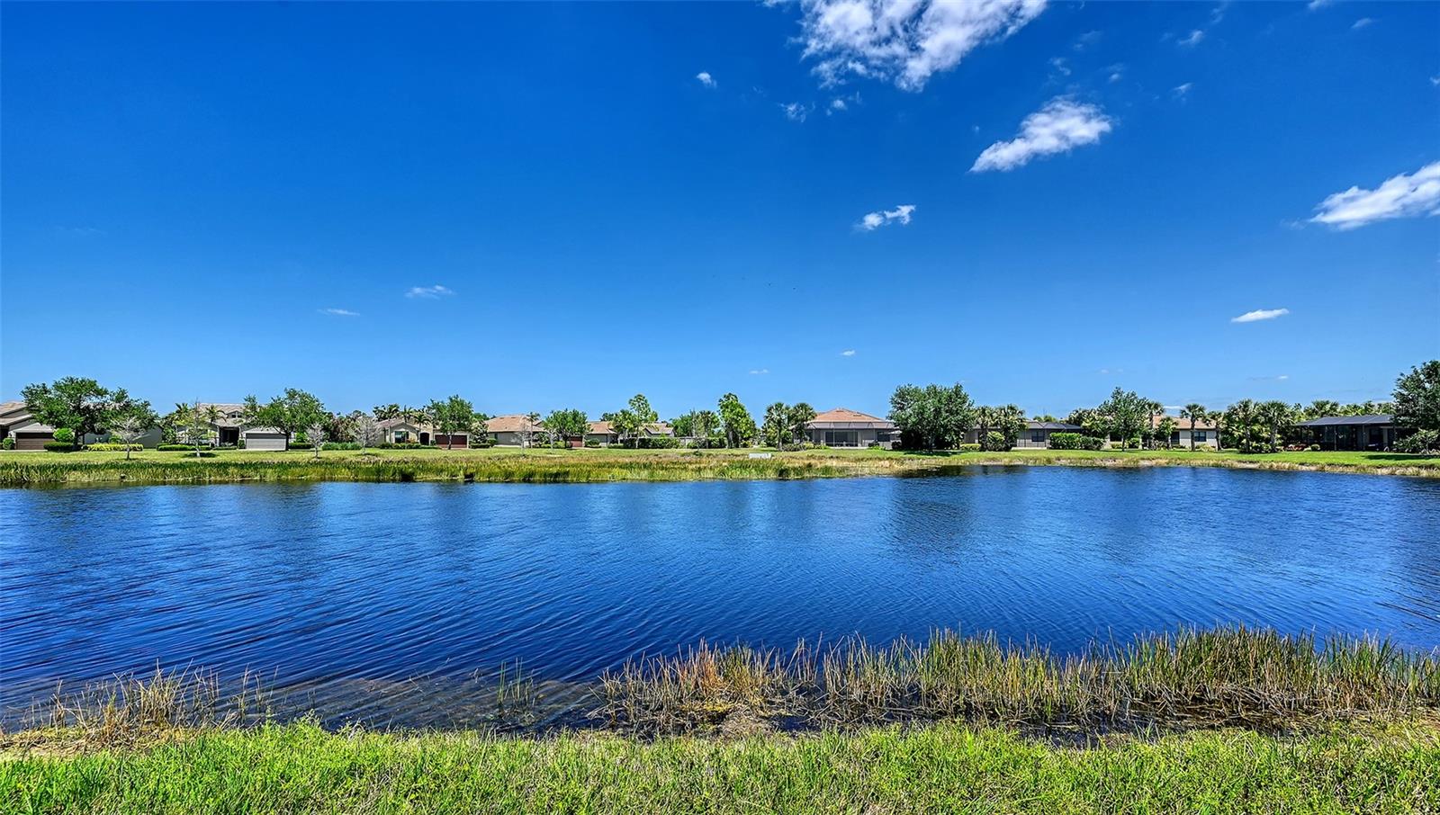 Image 48 of 61 For 11176 Roseate Court