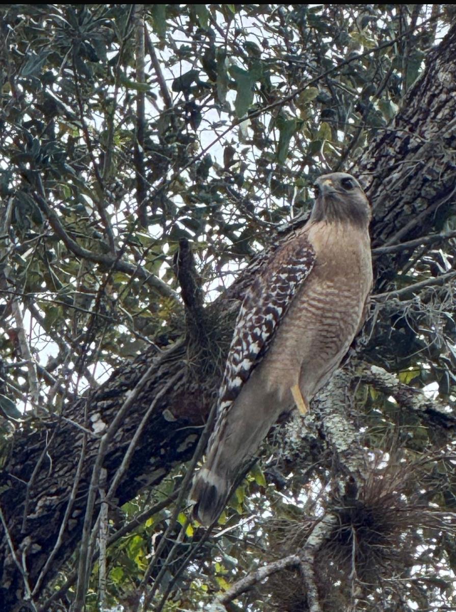 Image 13 of 21 For 36564 Singletary Road