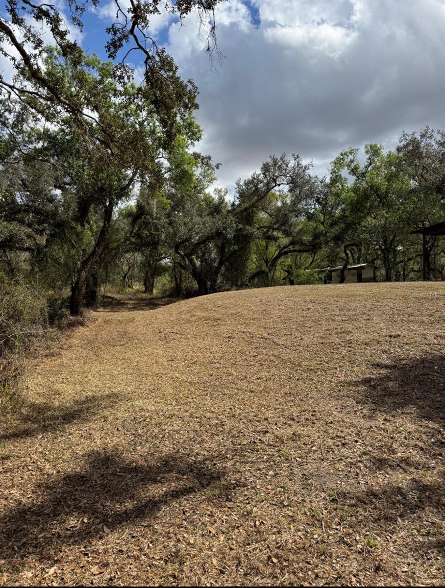 Image 16 of 21 For 36564 Singletary Road