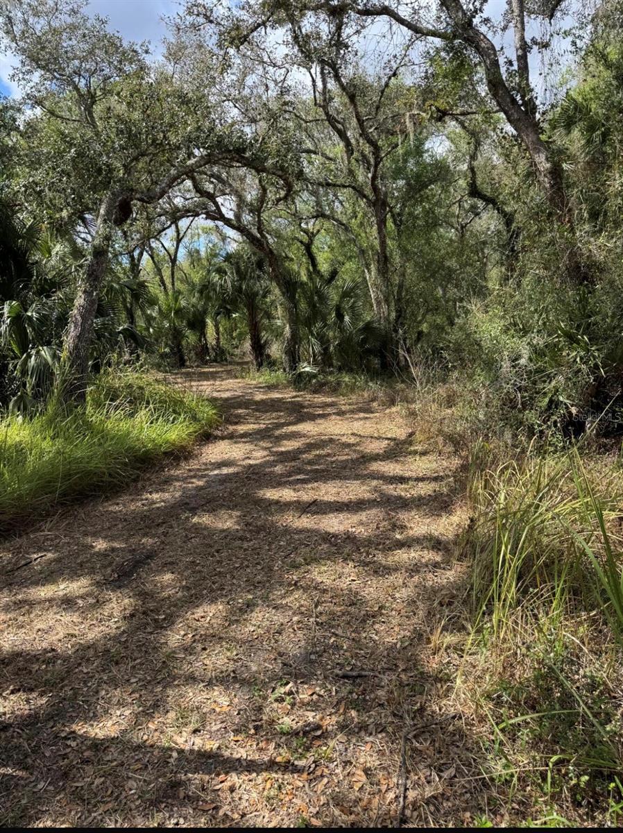 Image 17 of 21 For 36564 Singletary Road