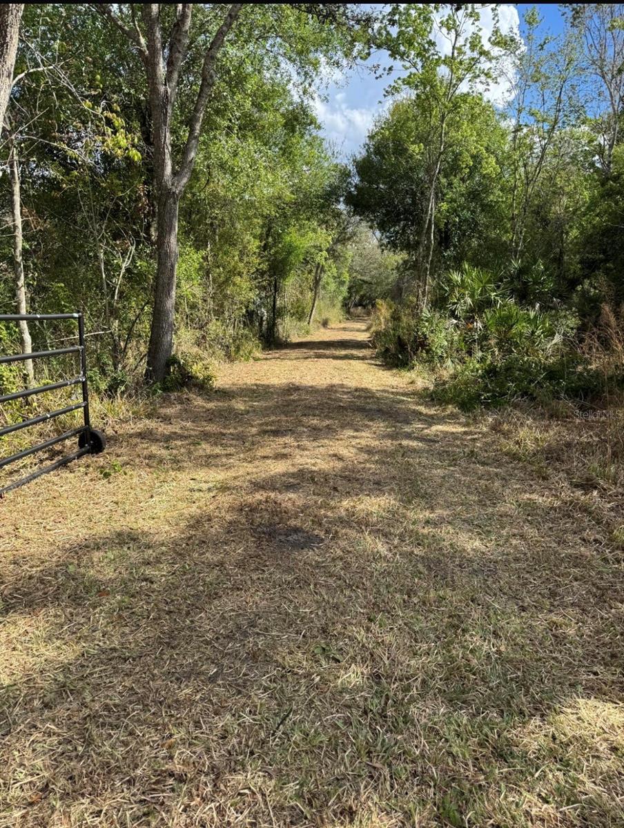 Image 20 of 21 For 36564 Singletary Road