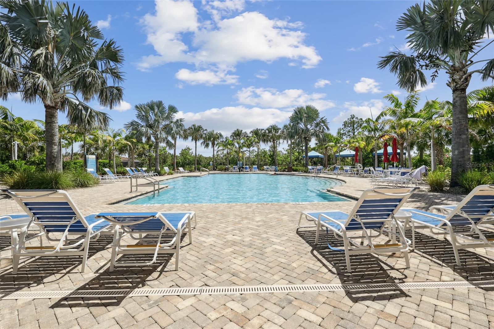 Image 61 of 88 For 265 Potenza Loop