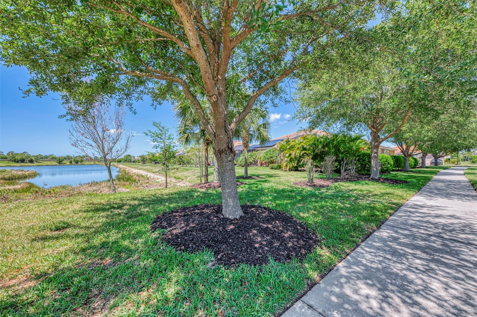 Image 47 of 49 For 11789 Tapestry Lane