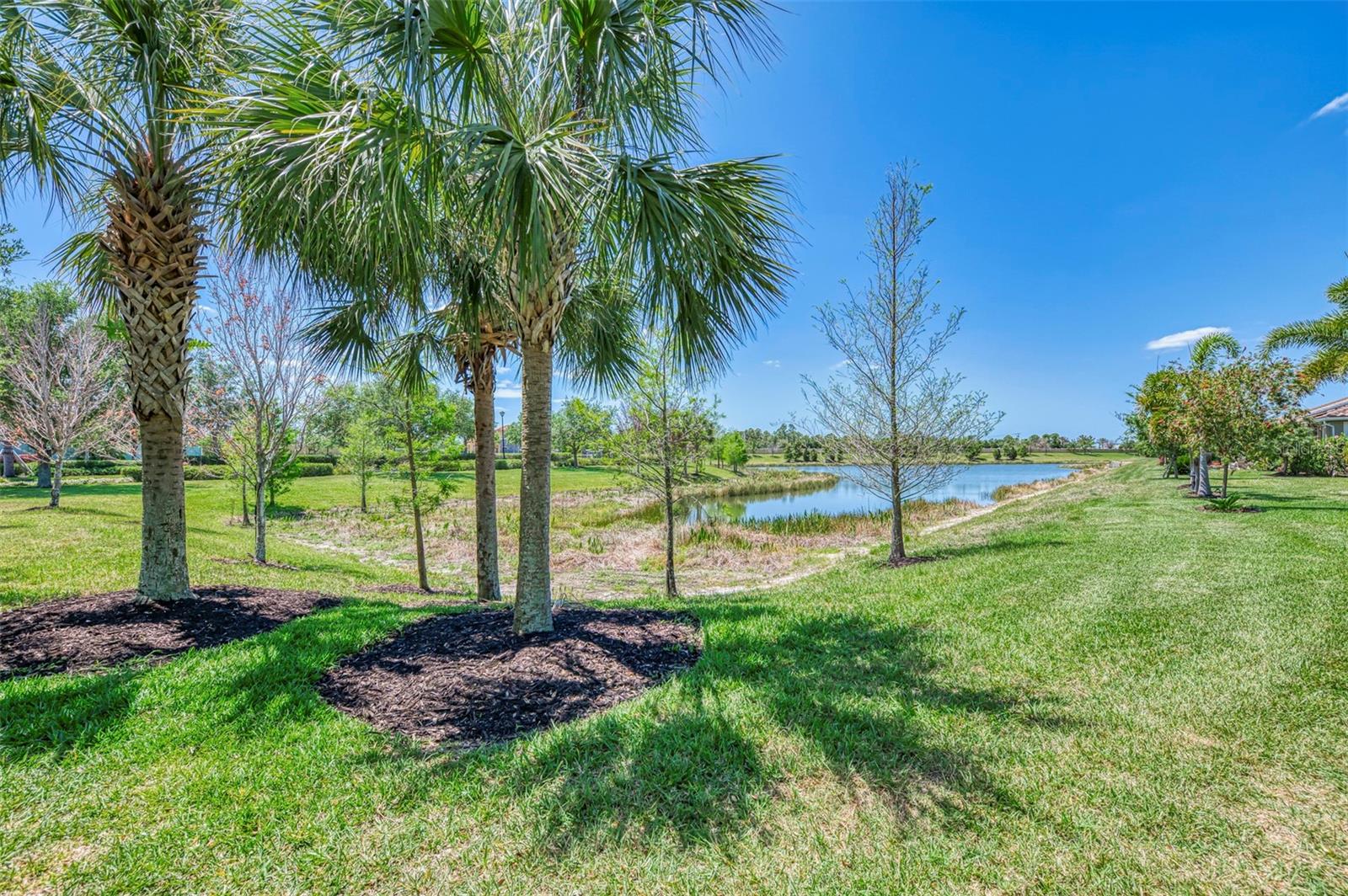 Image 48 of 49 For 11789 Tapestry Lane