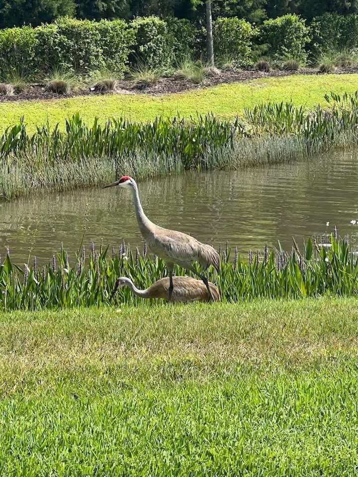 Image 65 of 66 For 5906 164th Avenue E