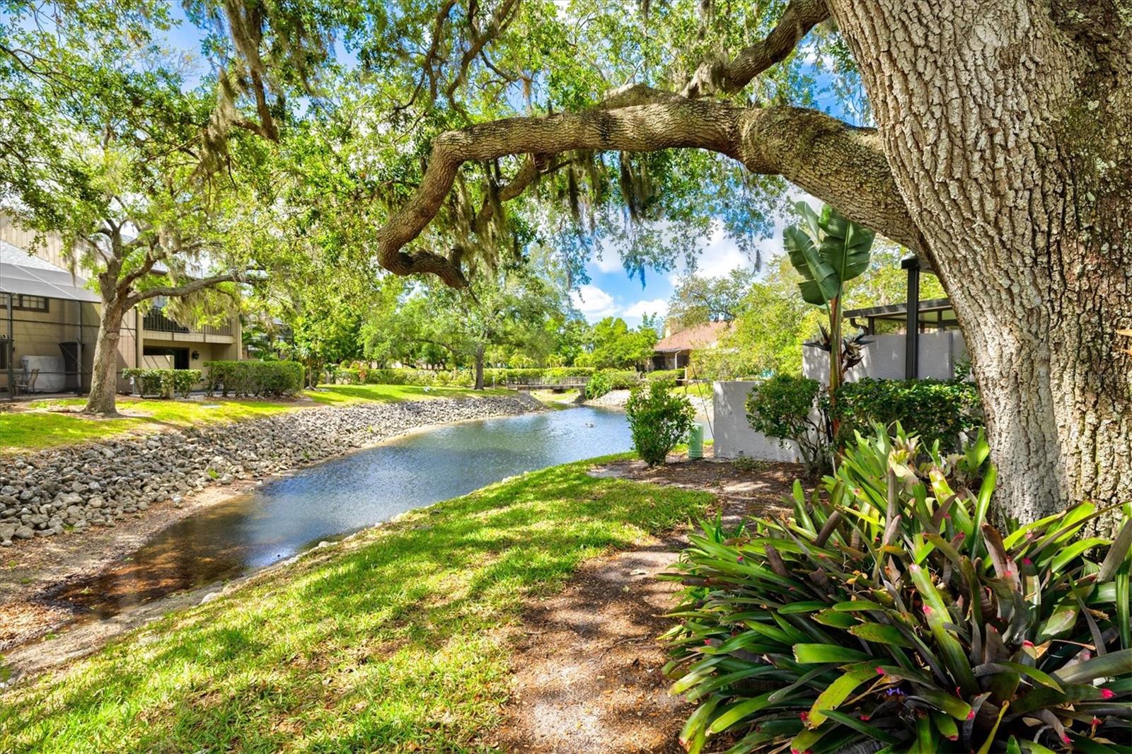 Image 52 of 76 For 4566 Hidden View Place 7