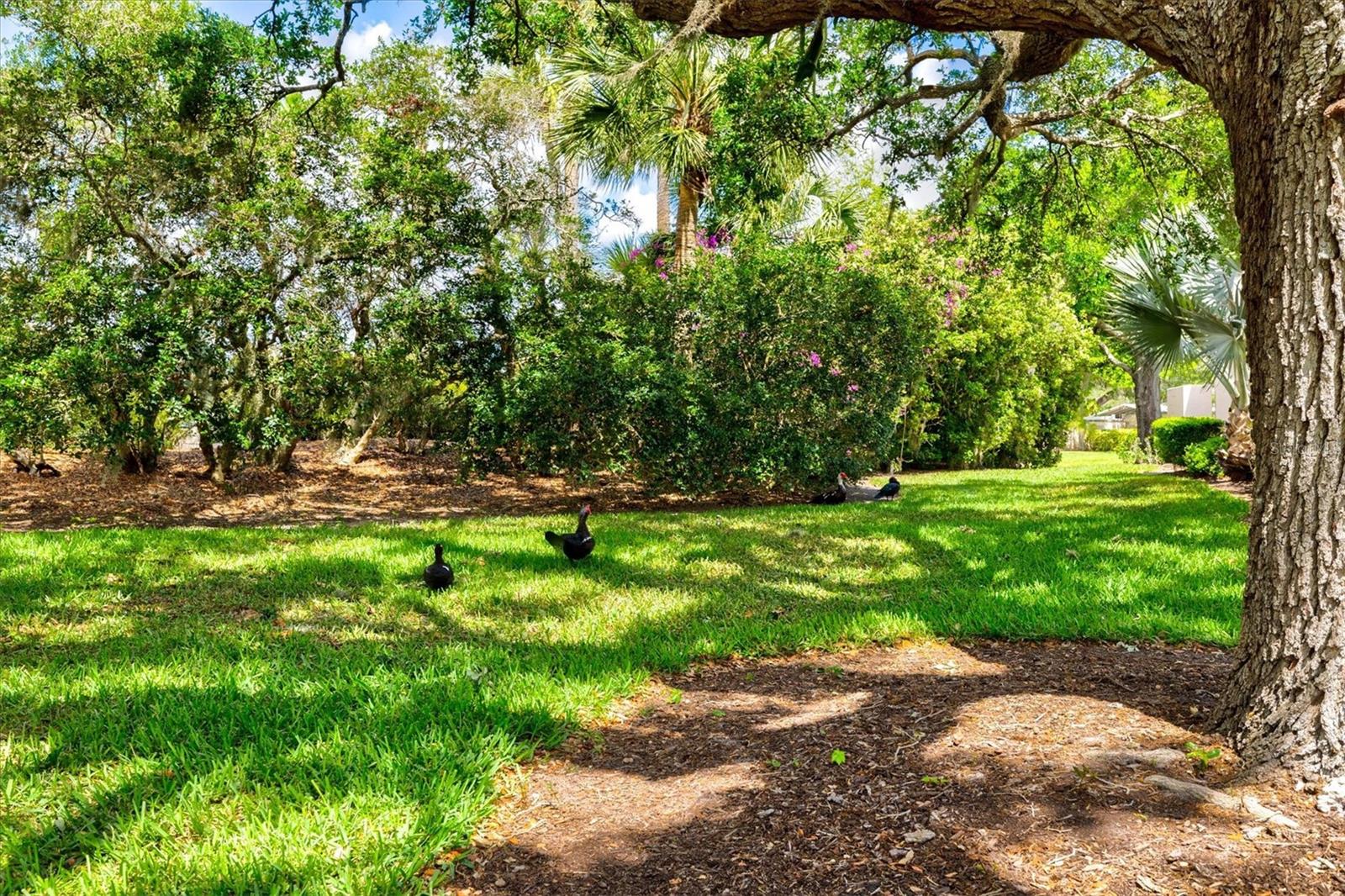 Image 55 of 76 For 4566 Hidden View Place 7