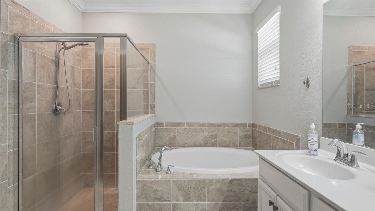 Image 22 of 77 For 17007 Blue Ridge Place