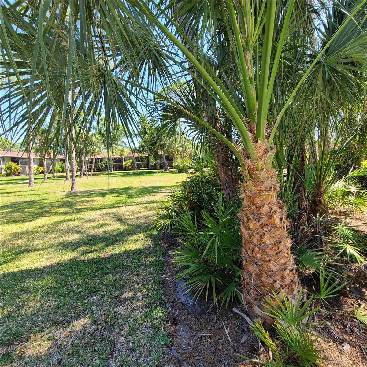 Image 19 of 21 For 924 La Costa Circle 4