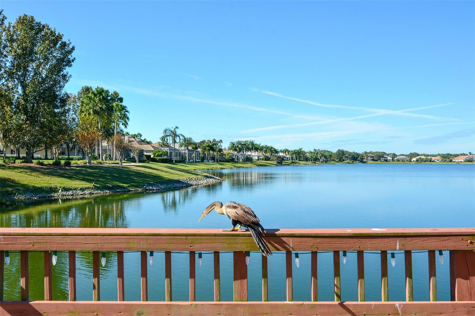 Image 47 of 53 For 6716 Spring Moss Place