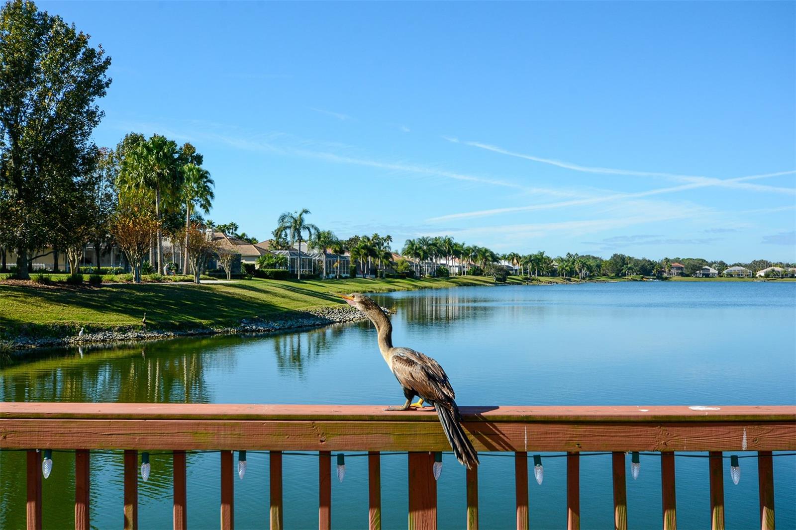 Image 48 of 53 For 6716 Spring Moss Place