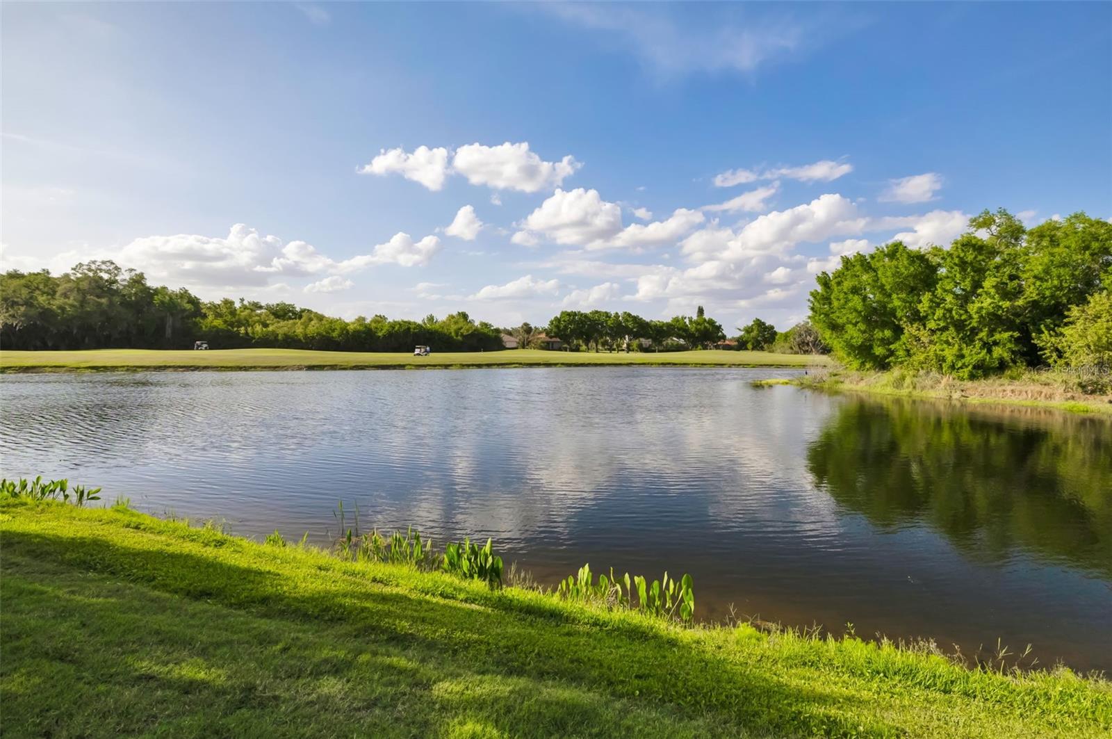 Image 35 of 97 For 9811 Portside Terrace