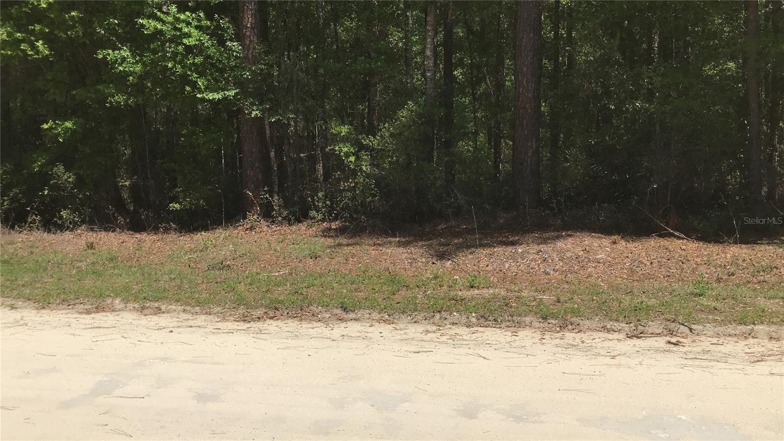 Image 2 of 6 For 0 133rd Avenue