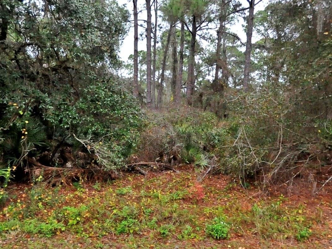 Details for  Neon Avenue , NORTH PORT, FL 34291