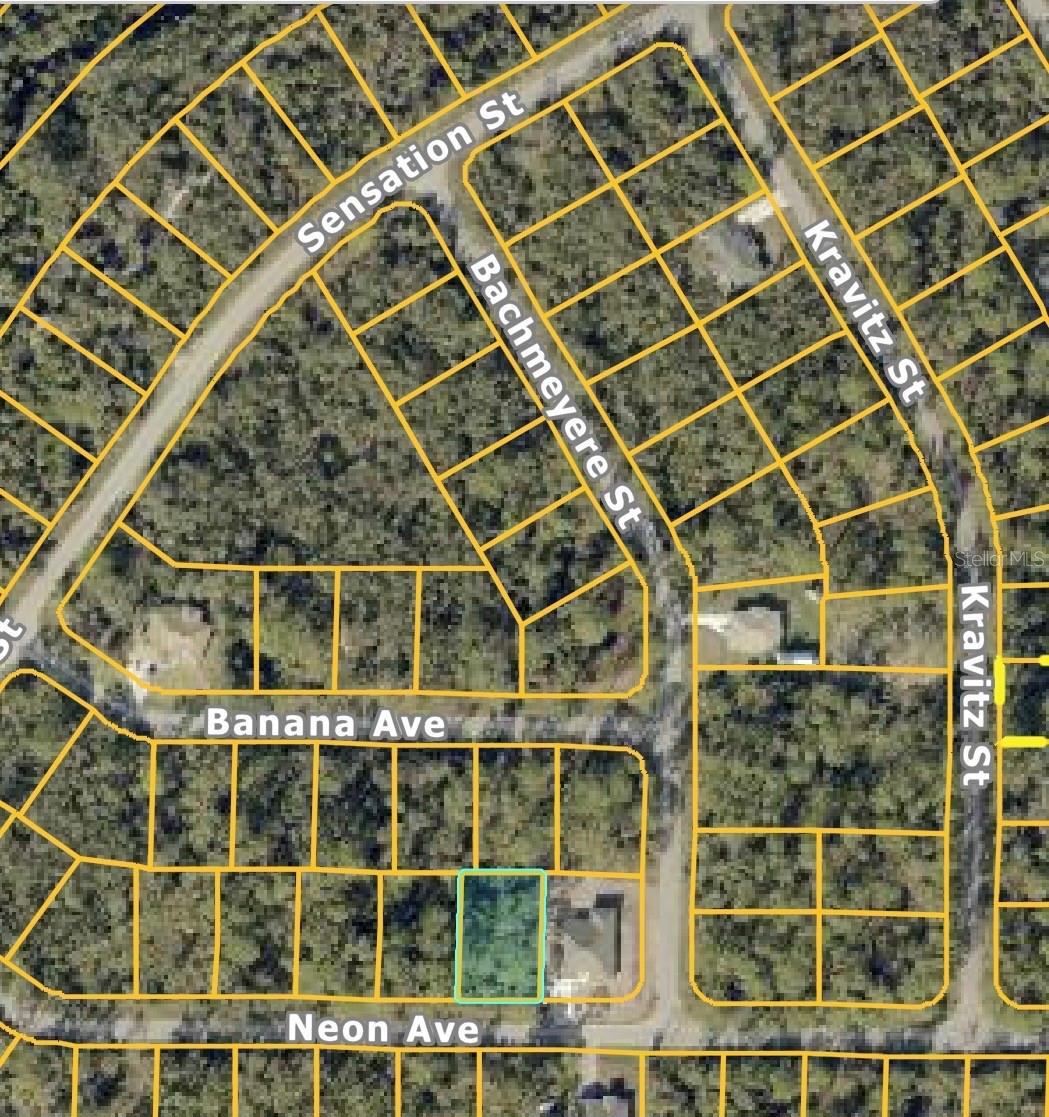 Image 2 of 2 For  Neon Avenue 