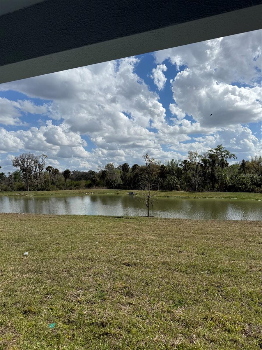 Image 8 of 9 For 13107 Sassafras Trail