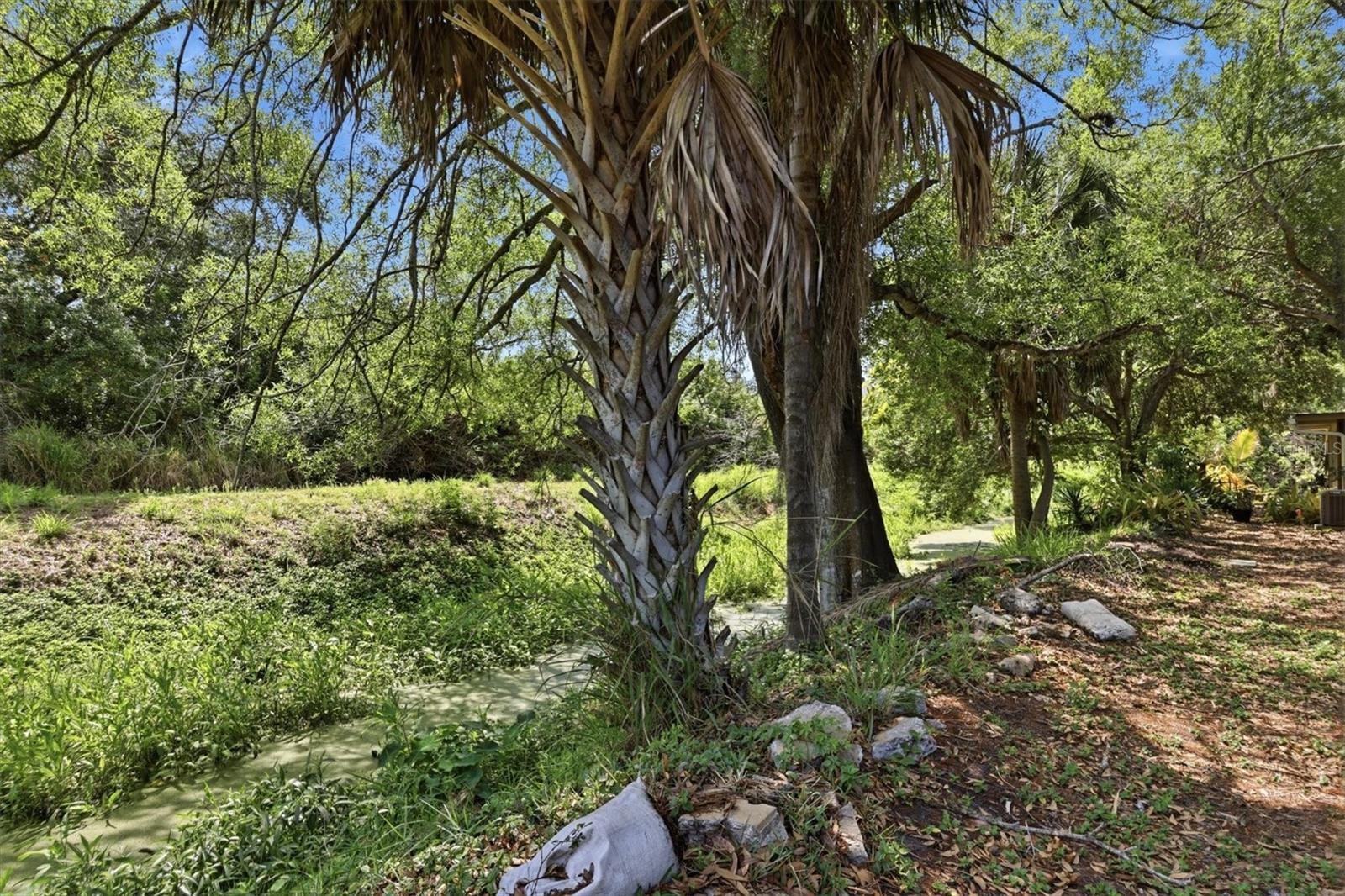 Image 27 of 33 For 500 Jefferson Avenue # 1