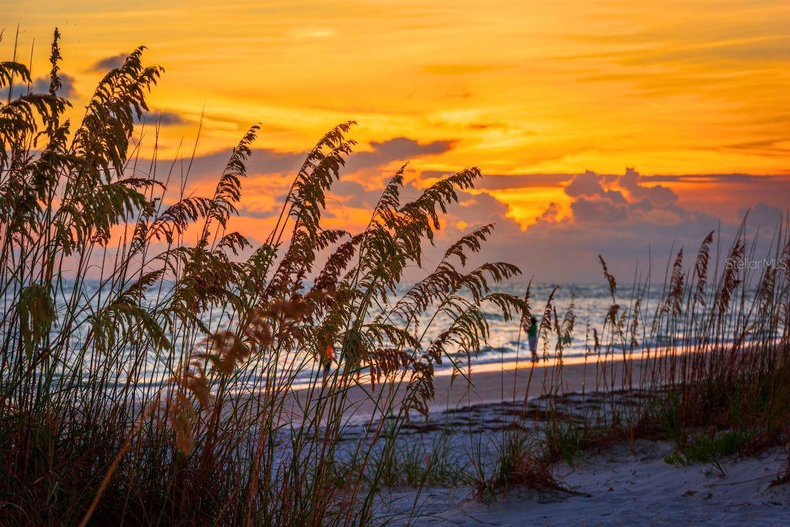 Image 33 of 33 For 500 Jefferson Avenue # 1