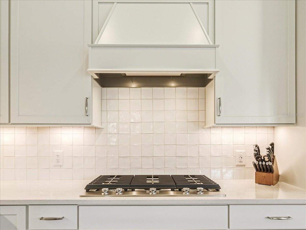 Image 15 of 59 For 6013 Silver Grass Court