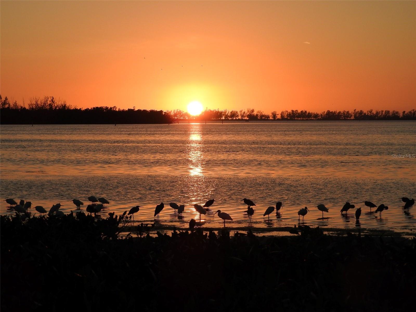 Image 72 of 73 For 9505 Colonial Drive