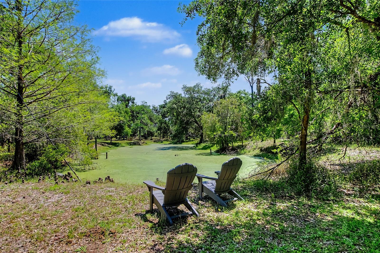 Image 14 of 41 For 15750 Wilson Road