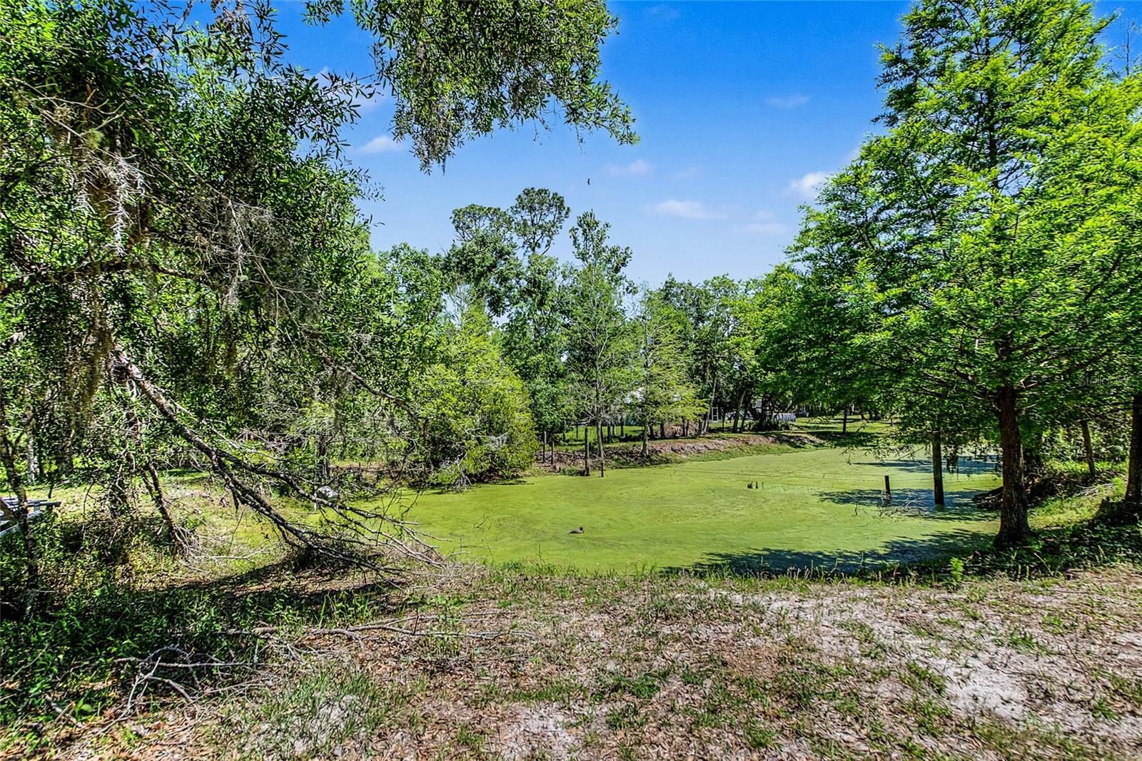 Image 15 of 41 For 15750 Wilson Road