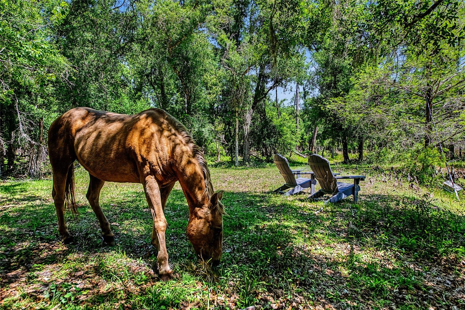 Image 21 of 41 For 15750 Wilson Road