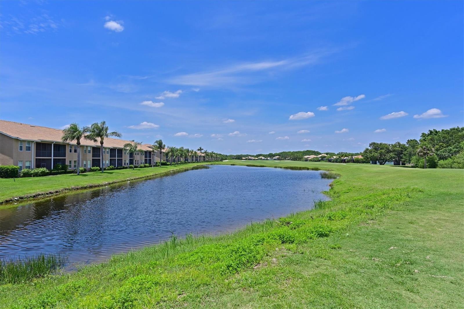 Image 27 of 53 For 1011 Fairwaycove Lane 202
