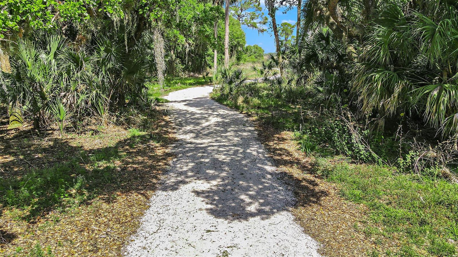 Image 16 of 96 For 10863 Eclipse Street